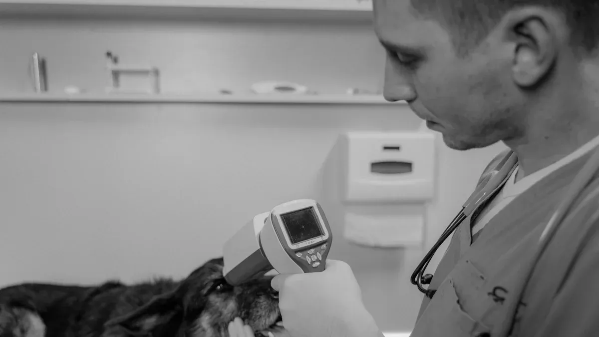 How to Test for Canine Distemper