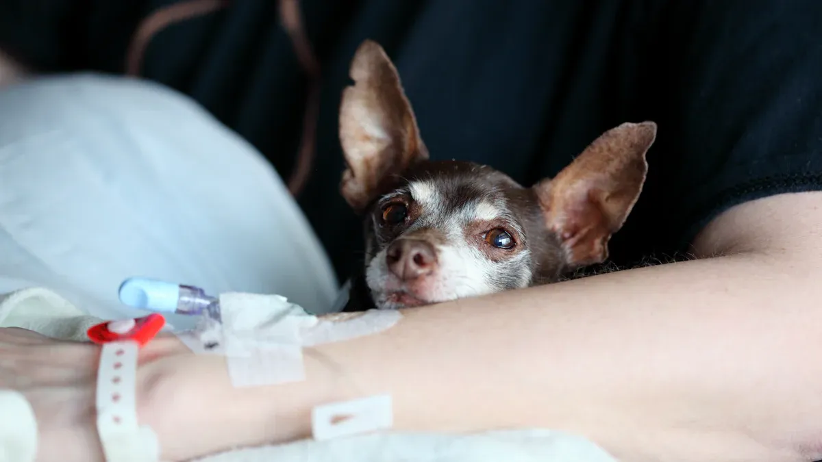 Parvo Treatment and Prevention