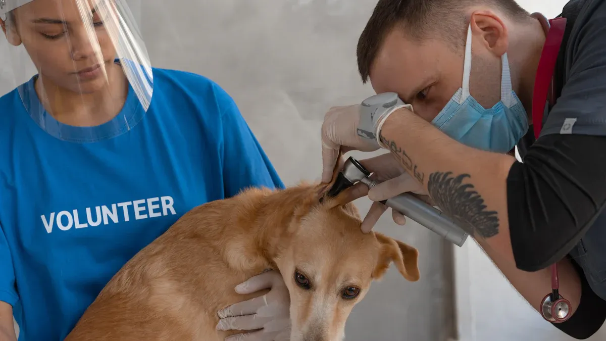 Diagnostic Tests for Parainfluenza and Giardia